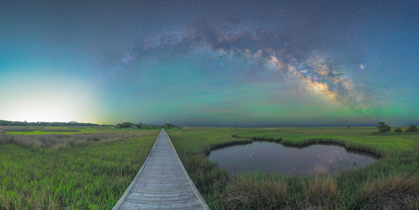 Marshlight Arch
