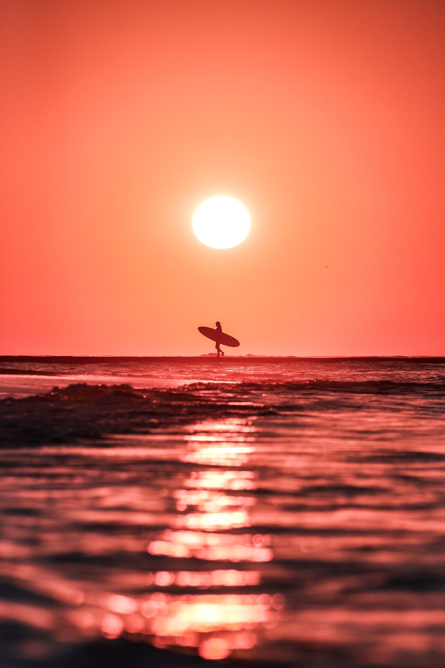 Sol Surfer
